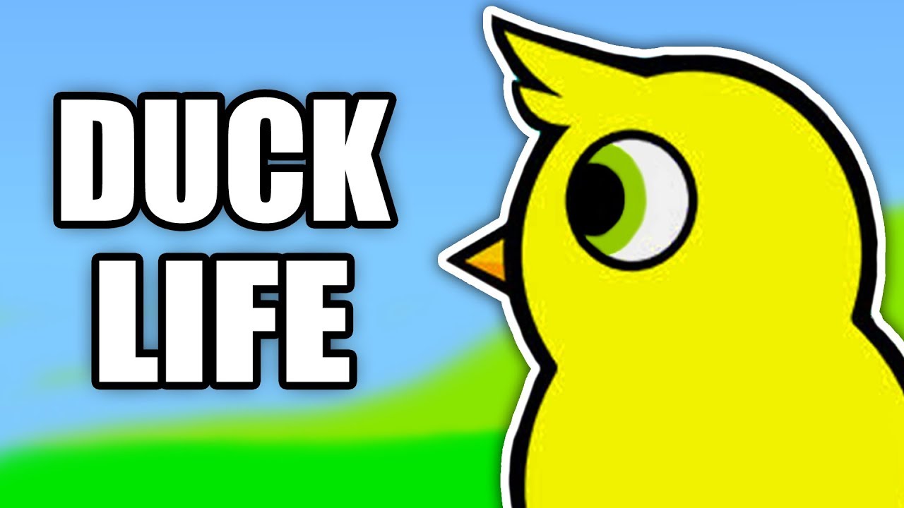 Duck Life 1