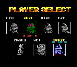 TMNT Tournament Fighters (Chinese)
